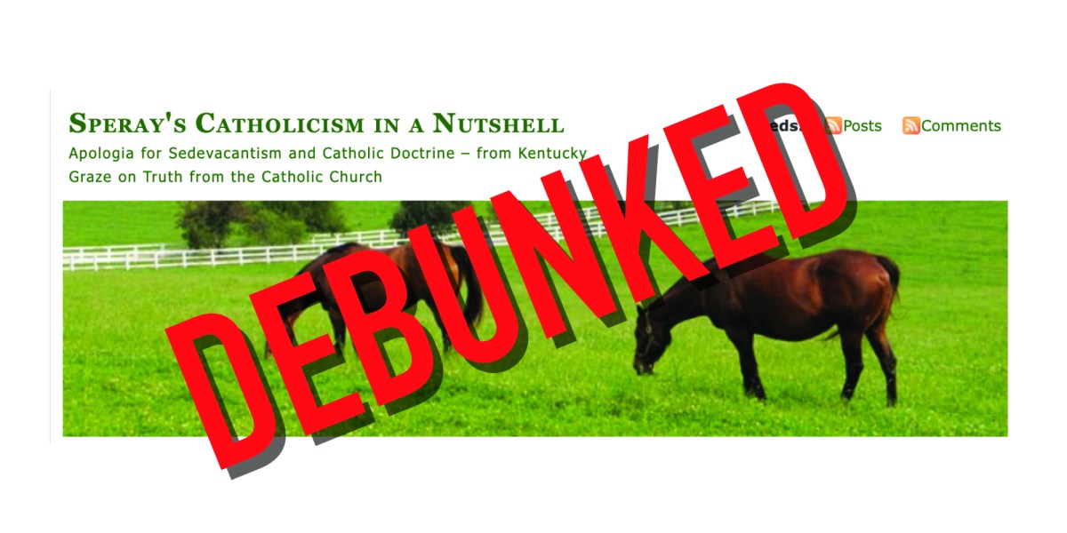 Sedes Know No Law, Nor (Apparently) their Catechism: A Refutation of Steve Speray’s Attempt to Discredit Home&nbsp;Alone