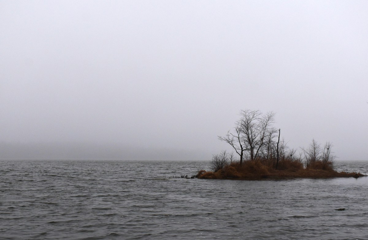 On the Ending of the&nbsp;World